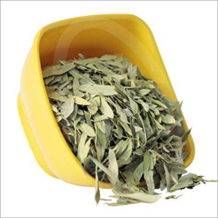 Senna Leaves Senna Leaves