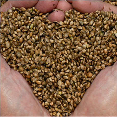 Tomad Seeds Tomad Seeds