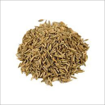 Caraway Seed Caraway Seed