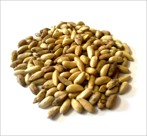 Neem Seeds Neem Seeds
