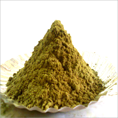 Ocimum Sanctum Leaf Powder Ocimum Sanctum Leaf Powder