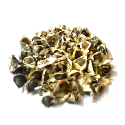 Moringa Seeds Moringa Seeds