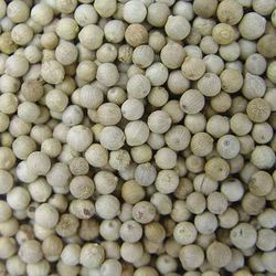 White Pepper White Pepper