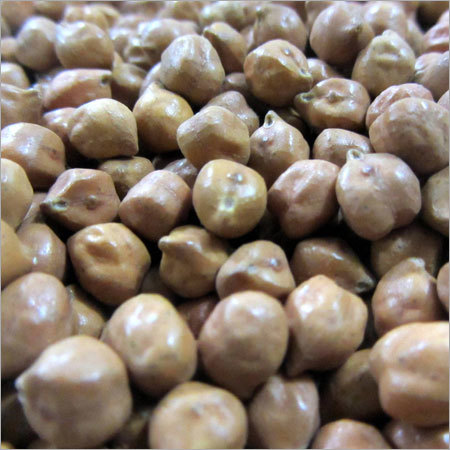 Roasted Chickpeas Roasted Chickpeas