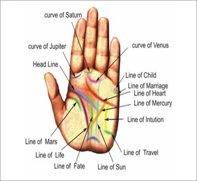 Palmistry Service Palmistry Service