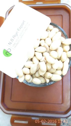 Salted Peanut Salted Peanut