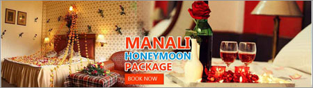 Manali Honeymoon Package Manali Honeymoon Package