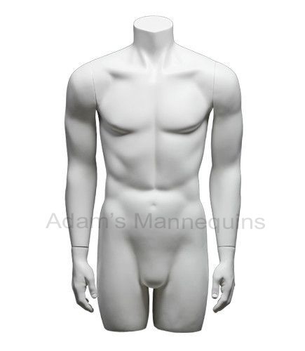 Male Torso Male Torso
