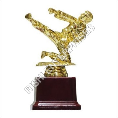 Metal Fibre Karate Trophy Metal Fibre Karate Trophy