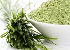 Wheat Grass Powder Wheat Grass Powder