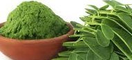 Moringa Powder Moringa Powder