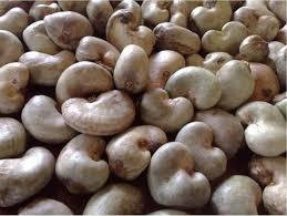 Raw Cashew Nuts Raw Cashew Nuts