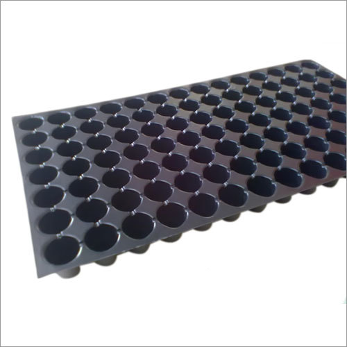 Seedling Trays Seedling Trays