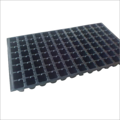 Seedling Trays Seedling Trays