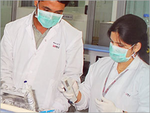 Analytical Research Analytical Research