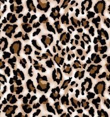 Knitted Item Fabrics Knitted Item Fabrics