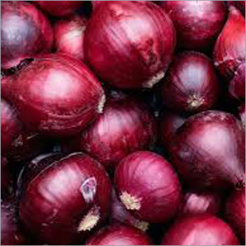 Onion Onion
