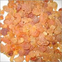 Gum Arabic Gum Arabic