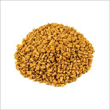 Whole Fenugreek Seeds Whole Fenugreek Seeds