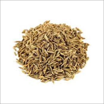 Indian Cumin Seeds Indian Cumin Seeds