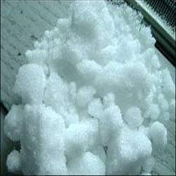 Camphor Powder Camphor Powder