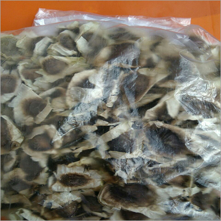 Moringa Seeds Moringa Seeds