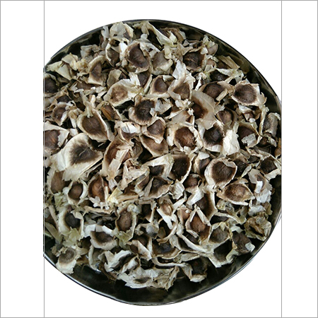 Dry Moringa Seeds Dry Moringa Seeds