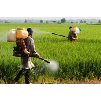 Organic Pesticides Organic Pesticides