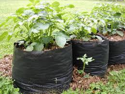 LDPE Grow Bags LDPE Grow Bags