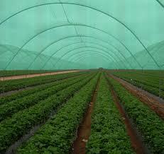 Agro Shade Net Agro Shade Net