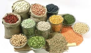 Hybrid Seeds Hybrid Seeds