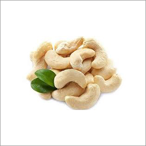 Cashew Nut Cashew Nut