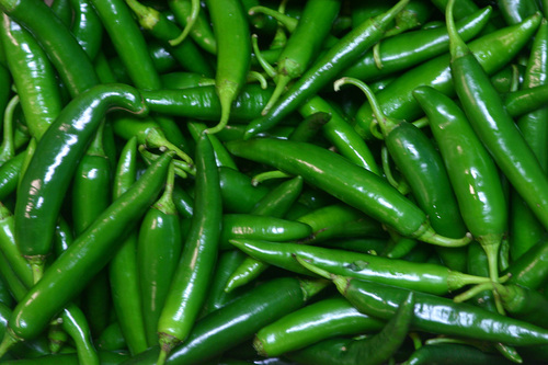 Chilli Seeds Chilli Seeds