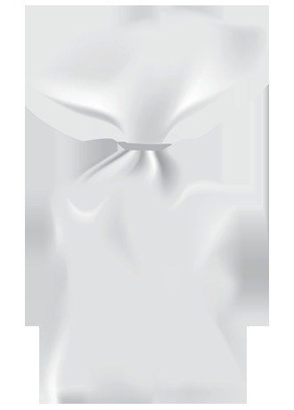 PP For Bread Packaging PP For Bread Packaging