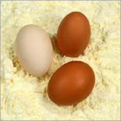 Whole Egg Powder Whole Egg Powder