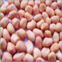 Peanut Seeds Peanut Seeds