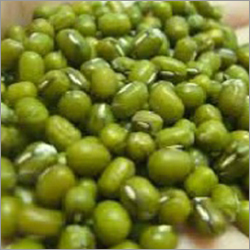 Green Mung Bean Green Mung Bean