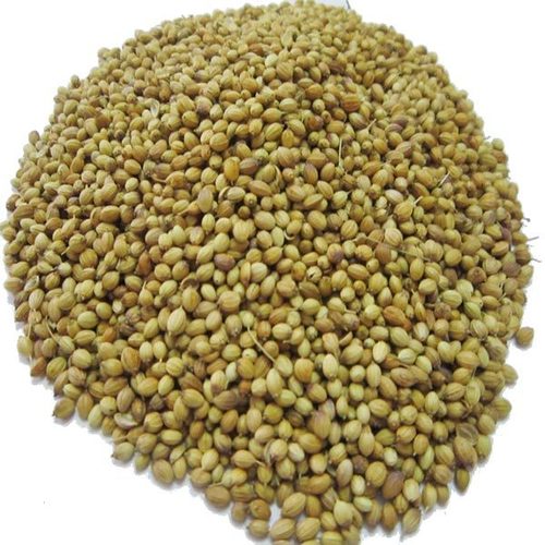 Eagle Quality Coriander Seeds Eagle Quality Coriander Seeds
