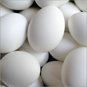 White Eggs White Eggs