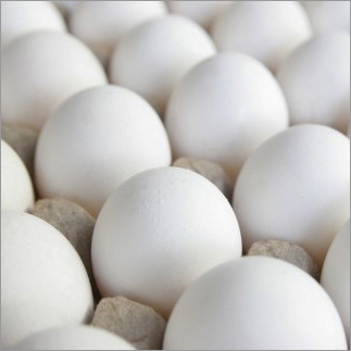 Indian-White-Eggs Indian-White-Eggs