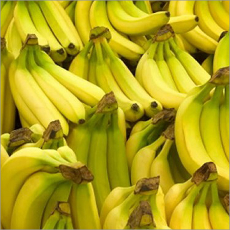 Cavendish Banana Cavendish Banana