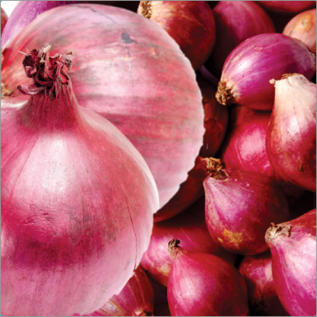 Red Onion Red Onion
