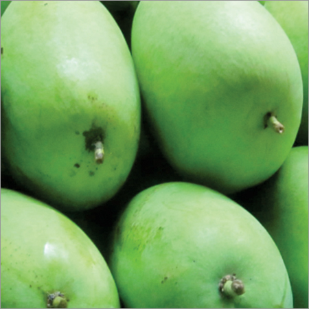 Raw Mango Raw Mango