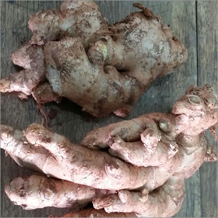 Fresh Ginger Fresh Ginger