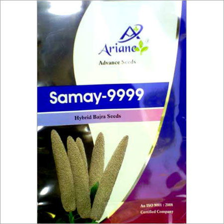 Hybrid Bajra Seeds Hybrid Bajra Seeds