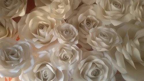 Roses Roses