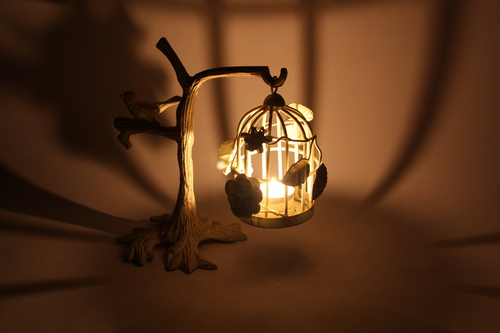 Casted Bird Cage Casted Bird Cage