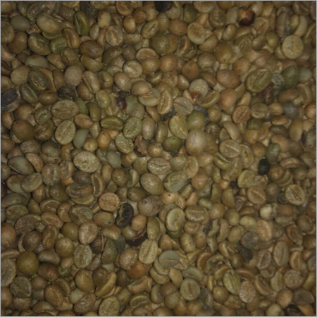 Robusta Coffee Bean Robusta Coffee Bean
