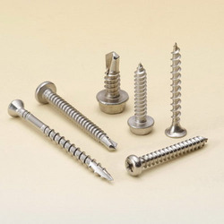 Steel Screw Steel Screw