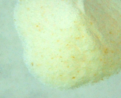 Lactobacillus Probiotic SPS Lactobacillus Probiotic SPS